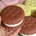 Cookie/Biscuit Slow Rising Squishy